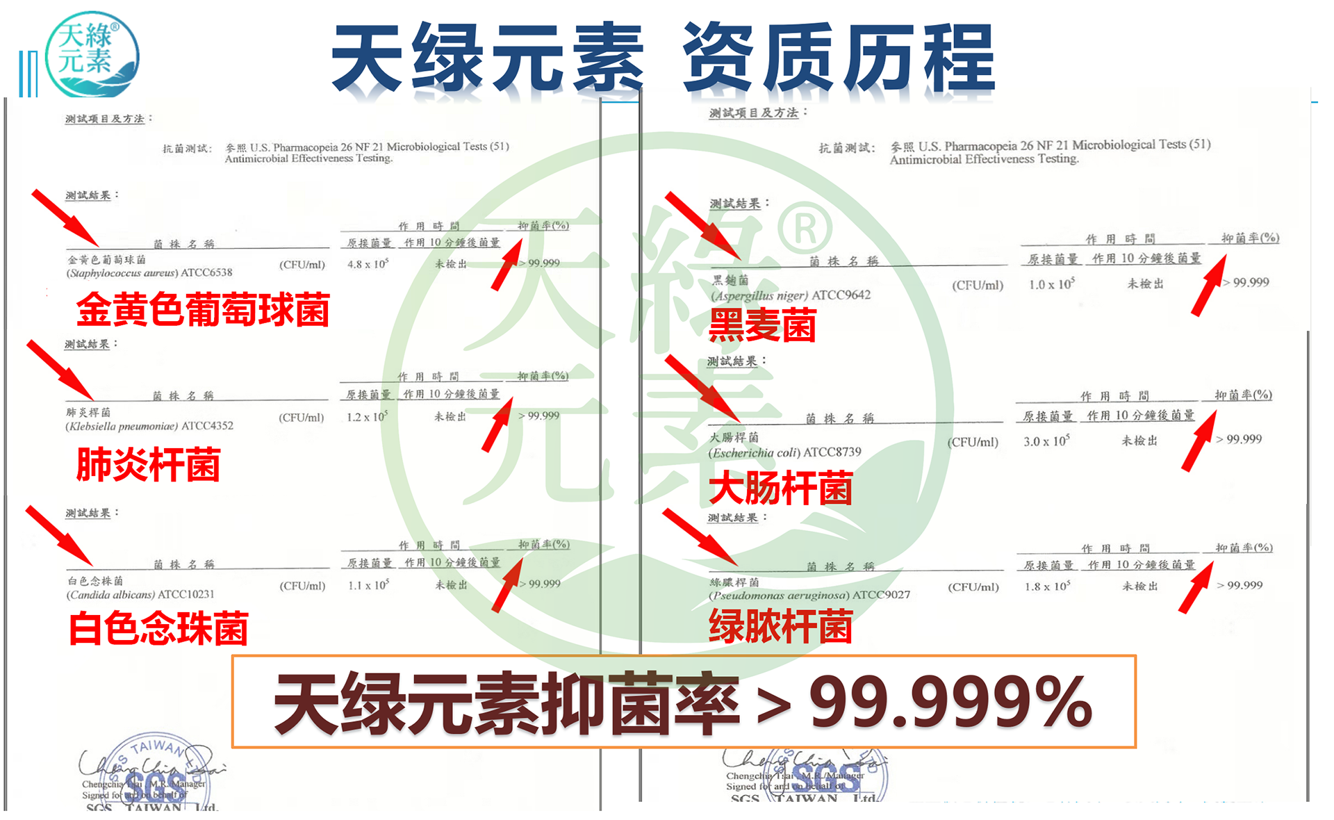天綠元素介紹 2023.2.13-內(nèi)部_21.png 天綠元素介紹 2023.2.13-內(nèi)部_21.png